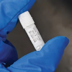 Brady Standard Polyesteretiketten B-488 Für BMP21