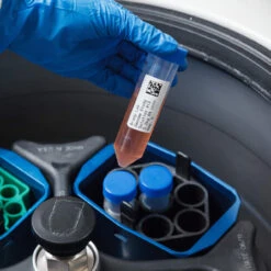 Brady FreezerBondz Polyester-Etiketten B-492 Weiß Matt Für Den BBP33 Drucker