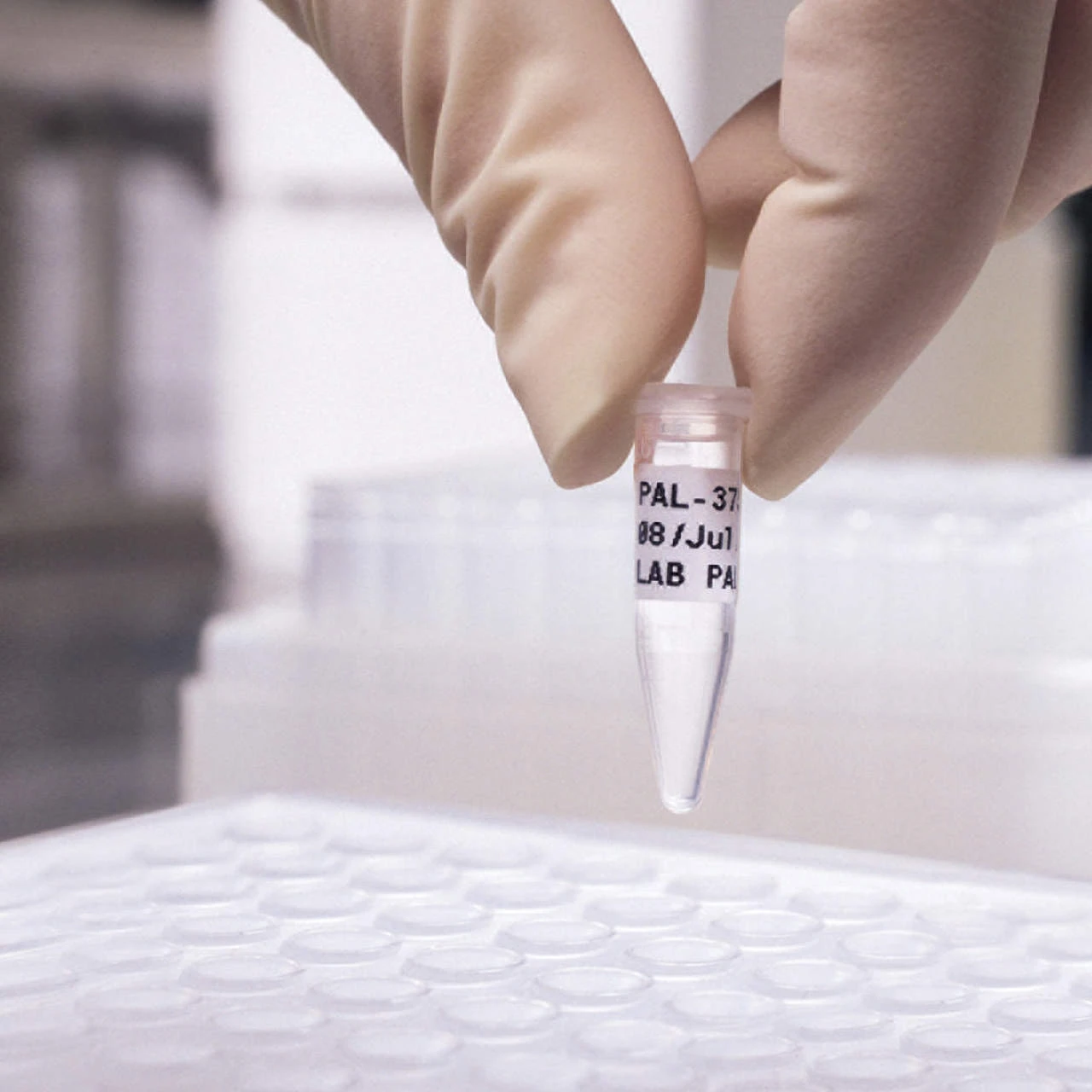 Brady FreezerBondz Polyester-Etiketten B-492 Weiß Matt Für Den BBP33 Drucker – Bild 3