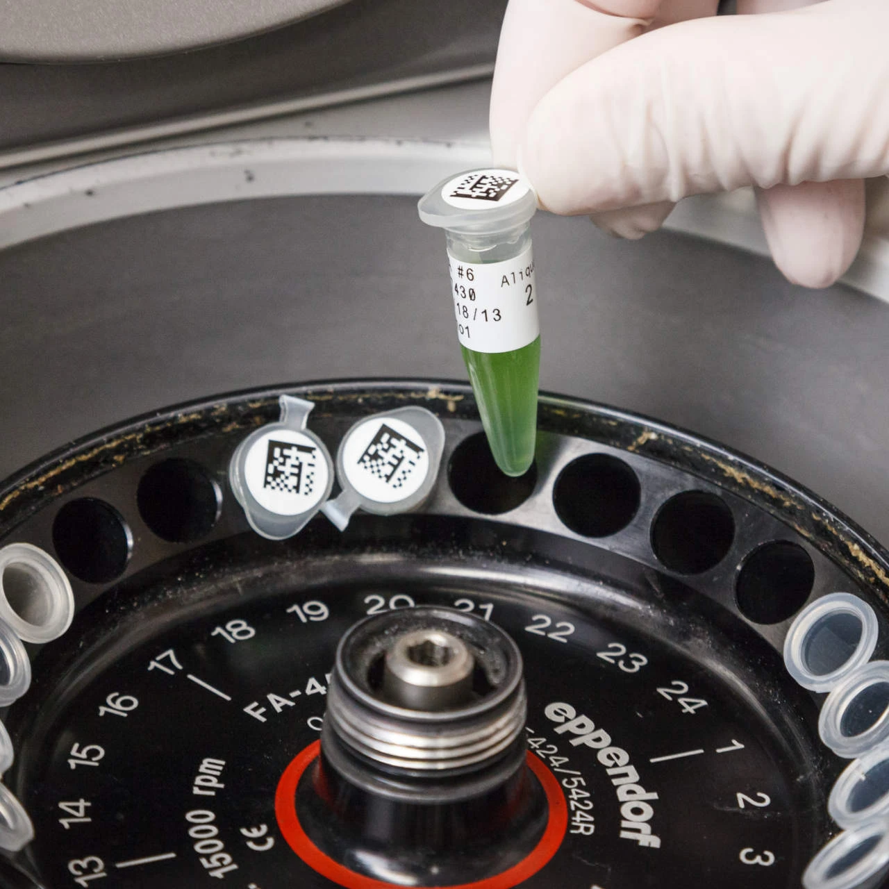 Brady FreezerBondz Polyester-Etiketten B-492 Mit Deckeletikett Für Den BBP33 Drucker