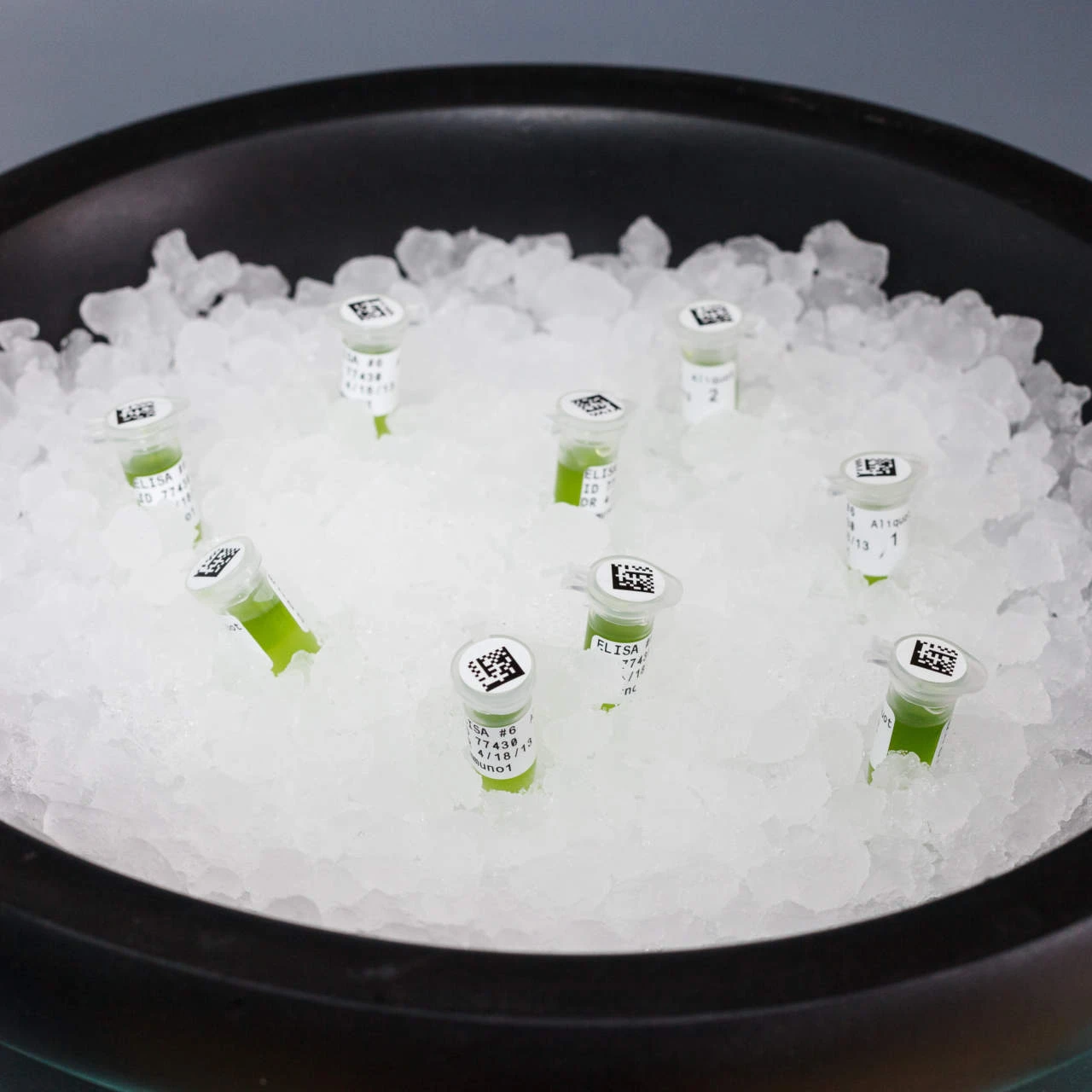 Brady FreezerBondz Polyester-Etiketten B-492 Mit Deckeletikett Für Den BBP33 Drucker – Bild 3