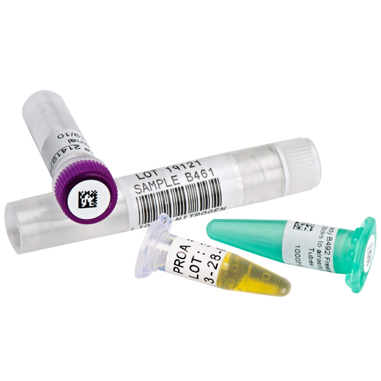 Brady FreezerBondz Polyester-Etiketten B-492 Mit Deckeletikett Für Den BBP33 Drucker – Bild 4