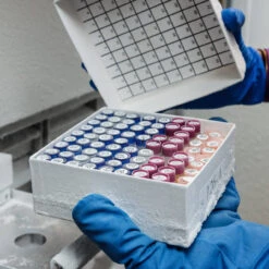 Brady FreezerBondz Polyester-Etiketten B-492, Weis Matt, Für BBP33 Drucker